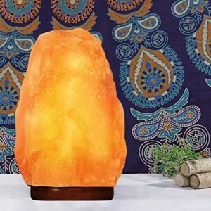 KACHVI CRYSTALS |HIMALYAN SALT LAMP